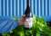 Trevino Wine Bar thumbnail 1