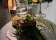 Elements Bar and Grill Pyrmont thumbnail 10