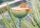 Otopia Rooftop Lounge thumbnail 2