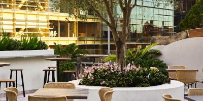 Photo of The Sussex Hotel, one of the top bars in New South Wales