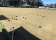 Manly Bowling Club thumbnail 1