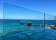 Bondi Icebergs Swimming CLUB thumbnail 4