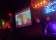 Cat Club thumbnail 4