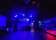 Cat Club thumbnail 5