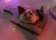 DOM'S thumbnail 9