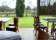 Pinelli Estate Winery Restaurant thumbnail 1