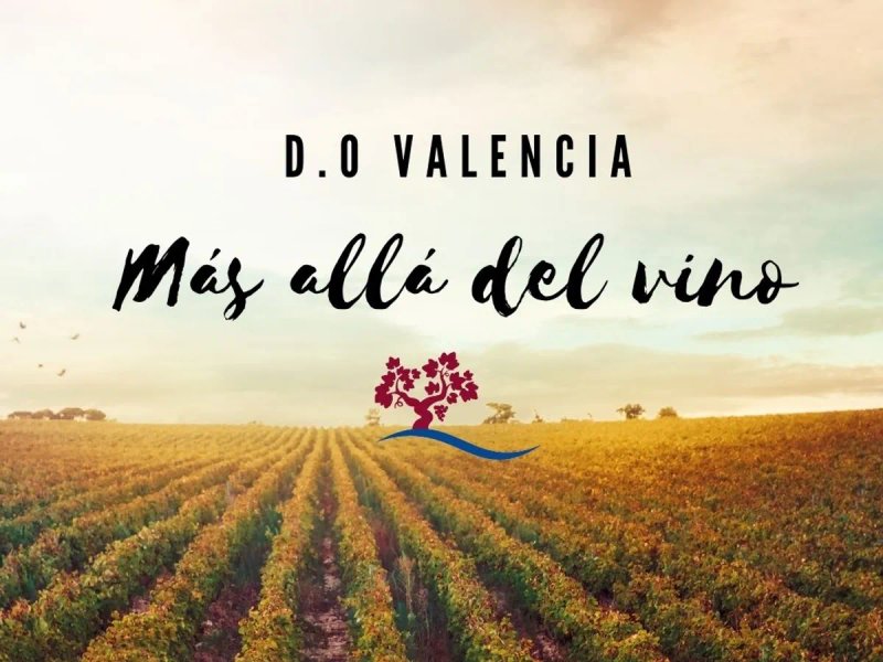 Vins de València (D.O.P). photo 1