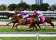 Gold Coast Turf Club thumbnail 2