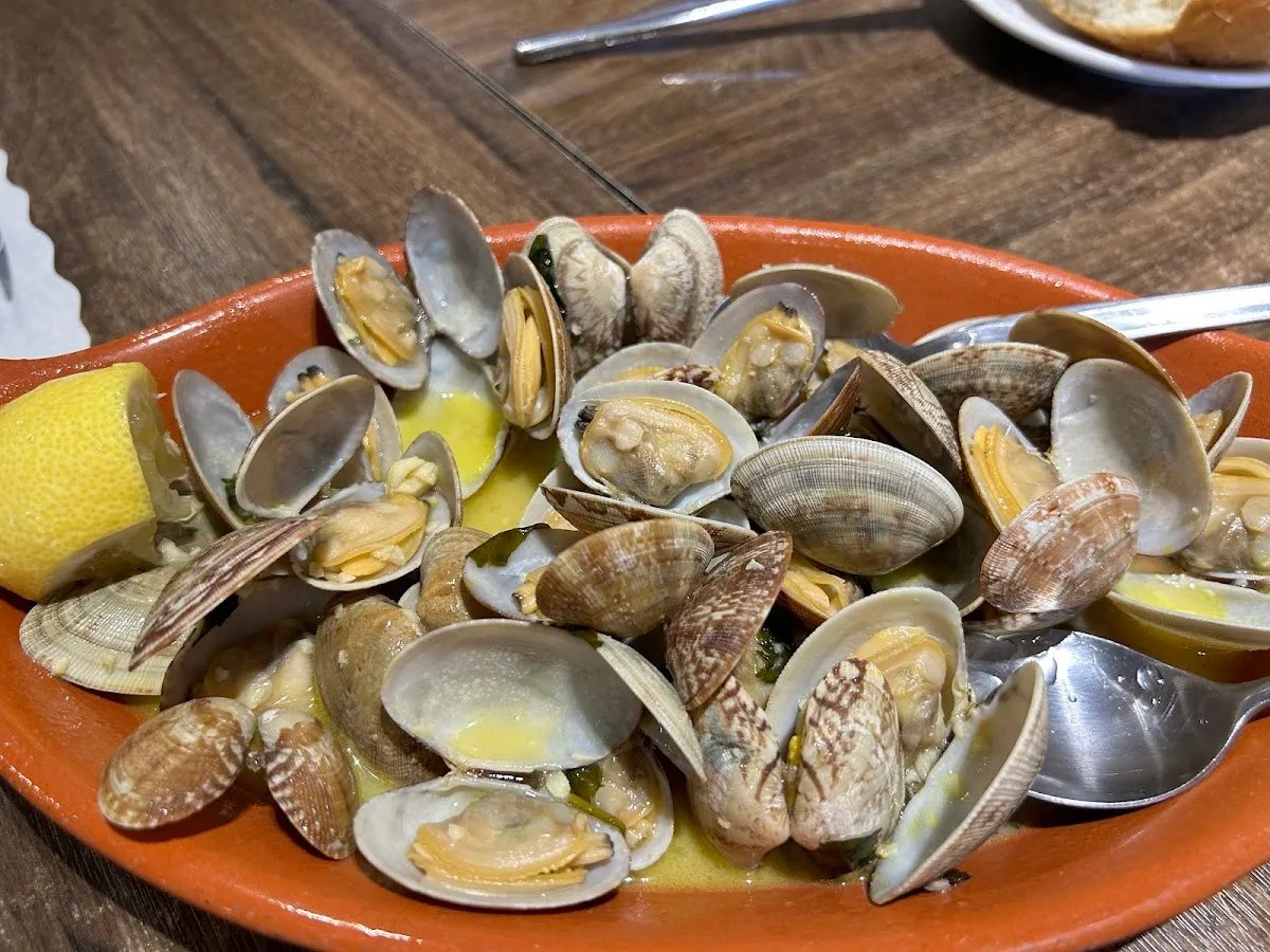 Featured image for Portugal Madeira Club