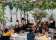 Camelia Grove Hotel thumbnail 7