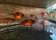 Harbord Diggers thumbnail 3