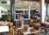 Harbord Diggers thumbnail 5