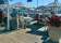 Manly 16ft Skiff Sailing Club thumbnail 6