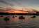 Manly 16ft Skiff Sailing Club thumbnail 4