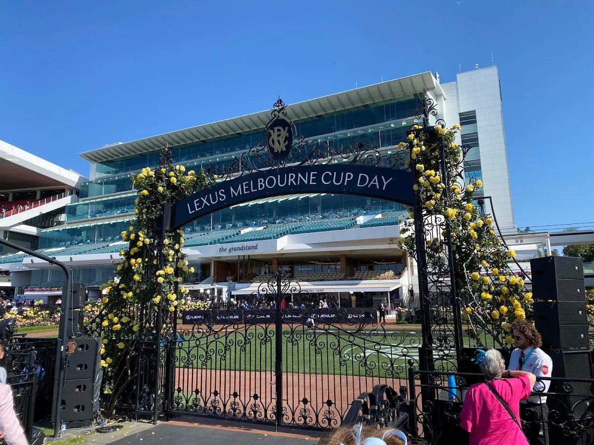 Featured image for THE HILL STAND