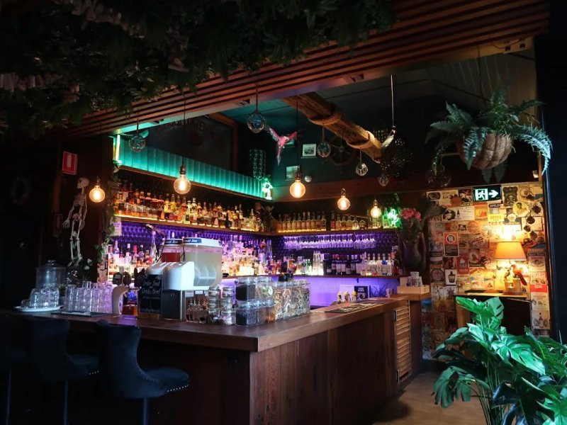 The Cauliflower Hotel photo 1