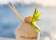 The Island thumbnail 1