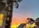 Bar Noun (Green Square Acai) thumbnail 10