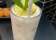 Hideout Bar - Neutral Bay Cocktail Bar thumbnail 10
