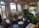 The Fernery thumbnail 2