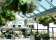 The Fernery thumbnail 1