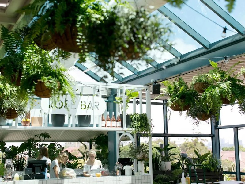 The Fernery photo 1
