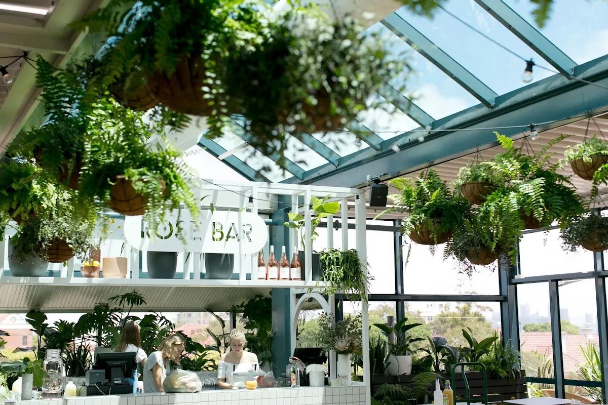 Featured image for The Fernery