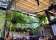 Vino e Cucina Italian Restaurant Sydney thumbnail 10