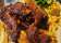 The Royal Oak thumbnail 8