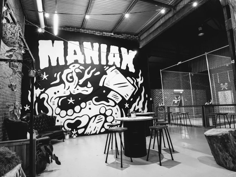 MANIAX Axe Throwing - NORTHBRIDGE photo 1