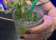 Bar Bee’s thumbnail 2
