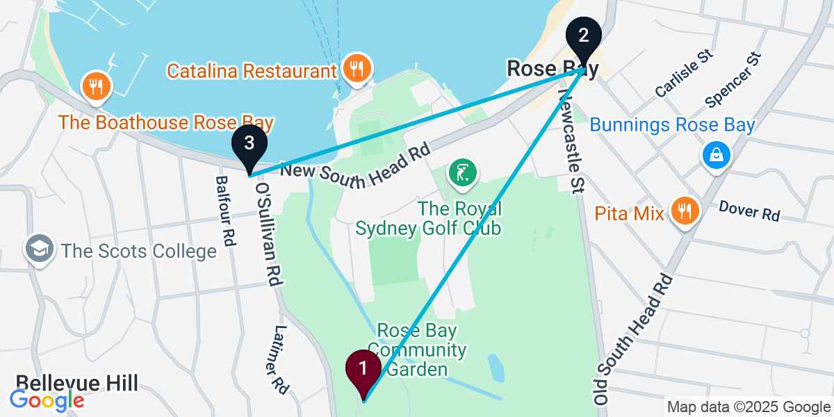 Map for 3-Stop Bellevue Hill Bar Crawl